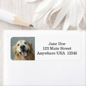 Étiquette Golden Retriever souriant (En situation)