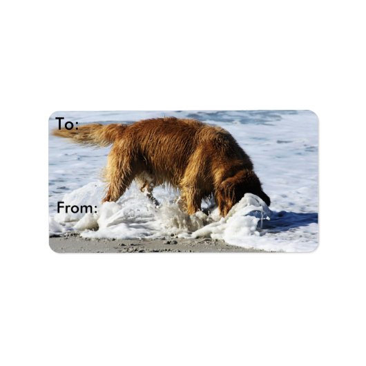 Étiquette Golden Retriever TOUT LE MONDE ARRÊTE ! J'ai perdu (Devant)