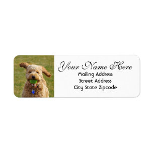 Étiquette Goldendoodle avec Ball Adresse de retour