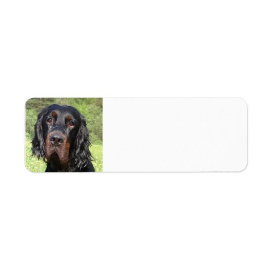 Étiquette gordon setter.png (Devant)