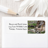 Étiquette Gracieuse Giraffe (En situation)