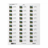 Étiquette Graffiti rose et Turquoise | Maison abandonnée (Feuille entière)