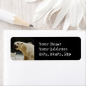 Étiquette Graine d'ours polaire (En situation)