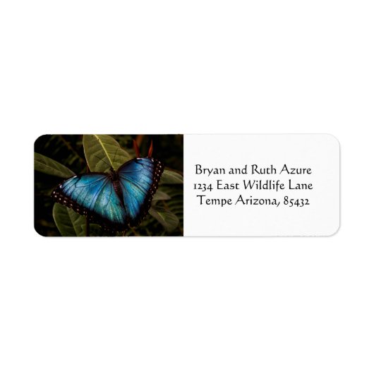 Étiquette Grand, beau, papillon bleu (Devant)