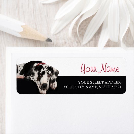 Étiquette Grande Dane (En situation)