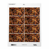 Étiquette Grasshopper frit (Takkataen Thot) Alimentation asi (Feuille entière)