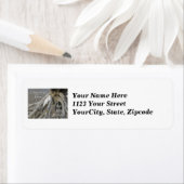 Étiquette Great Egret (Ardea alba) OBX Banques extérieures S (En situation)