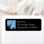 Étiquette Great Egret dans la Floride ensoleillée (En situation)