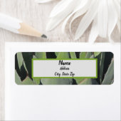 Étiquette Green Agave Feuille Botanique Photo Sud-ouest (En situation)