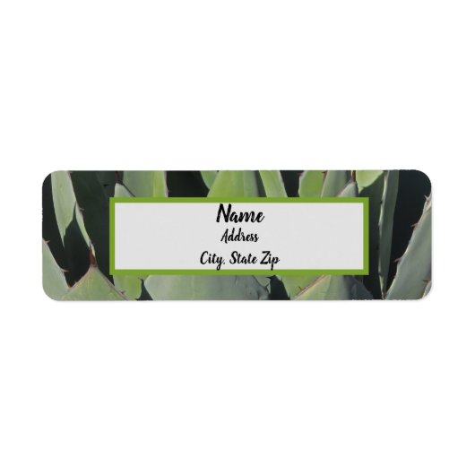 Étiquette Green Agave Feuille Botanique Photo Sud-ouest (Devant)