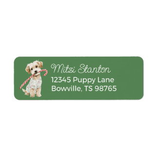 Étiquette Green Christmas Puppy in a Scarf address label
