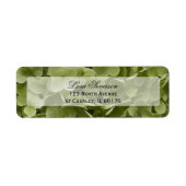 Étiquette Green Hydrangea Flower Adresse de retour (Devant)