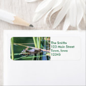 Étiquette Grenouille (En situation)