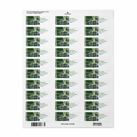 Étiquette Grenouille (Feuille entière)