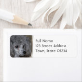 Étiquette Grey Poodle Mailing Labels (En situation)
