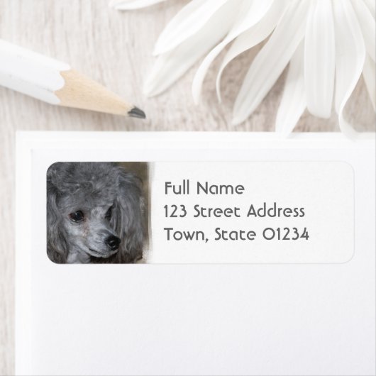 Étiquette Grey Poodle Mailing Labels (En situation)