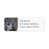 Étiquette Grey Poodle Mailing Labels (Devant)