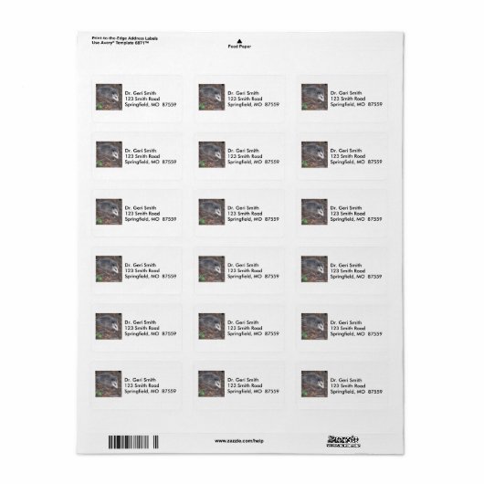 Étiquette Gros Plan De Possum (Feuille entière)