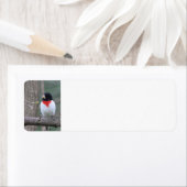 Étiquette Grosbeak à poitrine rouge (En situation)