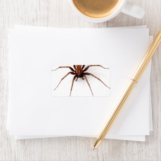 Étiquette Grosse araignée (En situation)