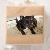 Étiquette Grouchy French Bulldog (En situation)
