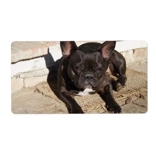Étiquette Grouchy French Bulldog (Devant)