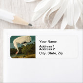 Étiquette Grue blanche Audubon Peinture d'oiseaux (En situation)