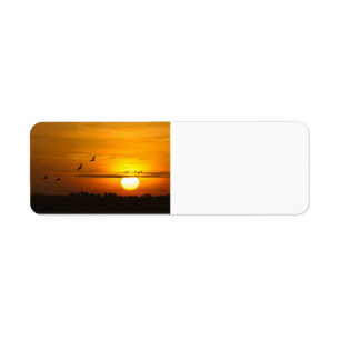 Étiquette Grues au lever du soleil