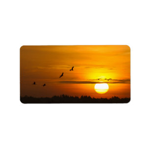 Étiquette Grues au soleil