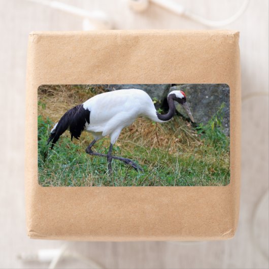 Étiquette Grus japonensis (En situation)