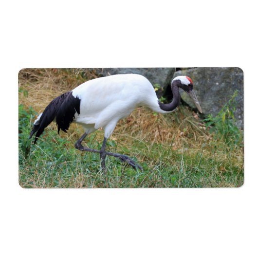 Étiquette Grus japonensis (Devant)