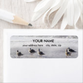 Étiquette Gull Squad (En situation)