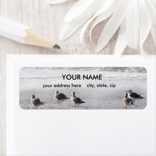 Étiquette Gull Squad (En situation)