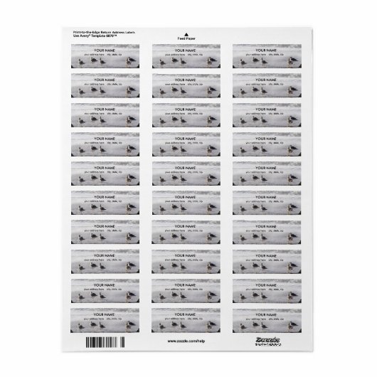 Étiquette Gull Squad (Feuille entière)