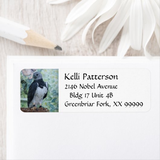 Étiquette Harpy Eagle (En situation)