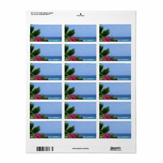 Étiquette Hawaï tropical (Feuille entière)