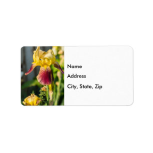 Étiquette Heirloom Iris