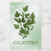 Étiquette Herbes Cilantro (Étiquettes simples)