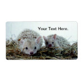 Étiquette Hérisson comme animal de compagnie (Devant)