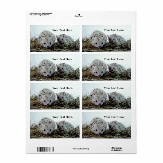 Étiquette Hérisson comme animal de compagnie (Feuille entière)