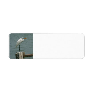 Étiquette Heron Piling