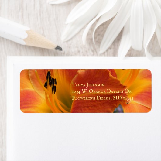 Étiquette Heures / Hemerocallis / Lily orange / (En situation)