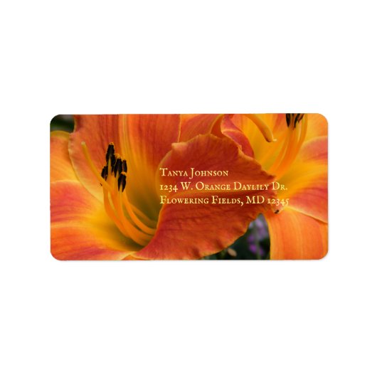 Étiquette Heures / Hemerocallis / Lily orange / (Devant)