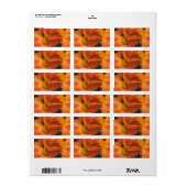 Étiquette Heures / Hemerocallis / Lily orange / (Feuille entière)