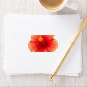 Étiquette Hibiscus jaune orange Fleur tropicale hawaïenne (En situation)