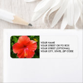 Étiquette Hibiscus rouge tropical Bonita Springs Floride (En situation)