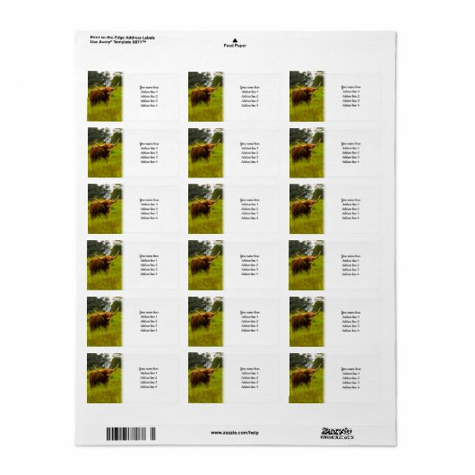 Étiquette Highland Cow (Feuille entière)