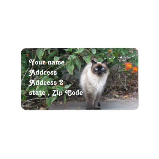 Étiquette Himalayan Mix cat (Devant)