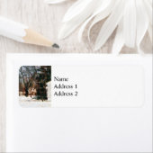 Étiquette Hiver dans ma rue (En situation)