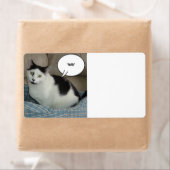 Étiquette Holla /Levez le toit ! (En situation)